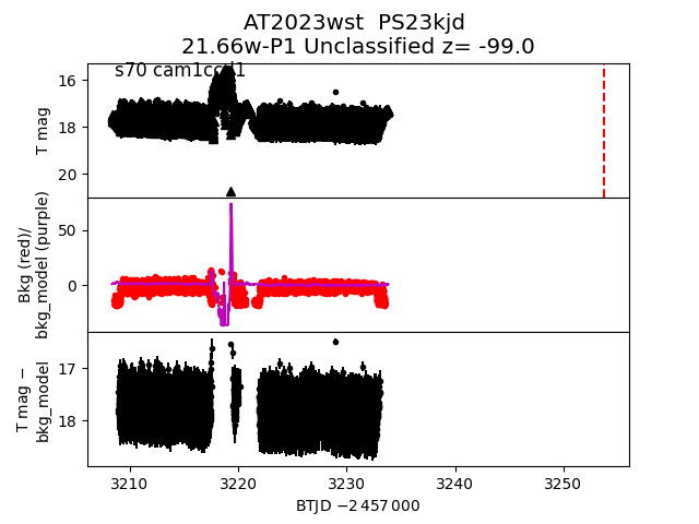 2023wst